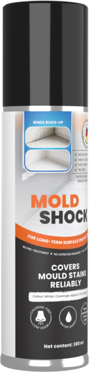 MOLDSHOCK 300 ml can